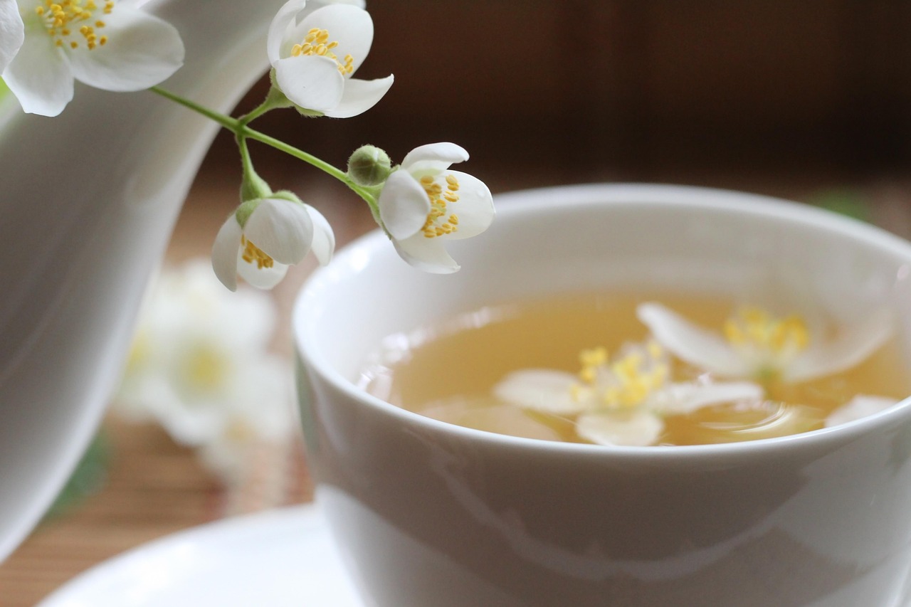 drink, tea, fresh, cup, jasmine, healthy, herbal, tea cup, beverage